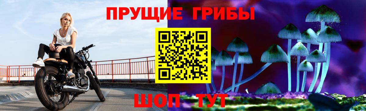 Электросталь  Псилоцибиновые грибы GOLDEN TEACHER  Вход с VPN 